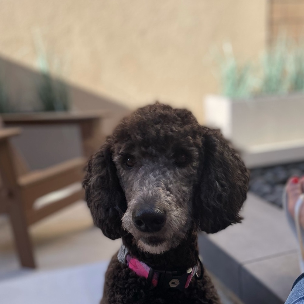 Meet your Posher, Heather